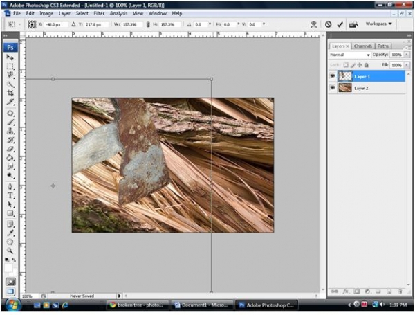 Creation of Cutting Logs: Step 2
